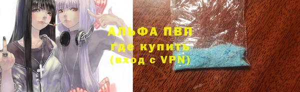 ПСИЛОЦИБИНОВЫЕ ГРИБЫ Бежецк