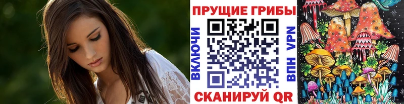 Псилоцибиновые грибы Psilocybine cubensis  наркота  Голицыно 